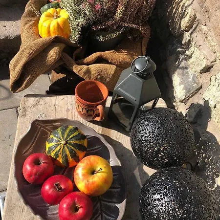 펜션 Chalupka Opal A Achat Na Luke Lukahuta Chaletstiavnica Na Samote - Samoobsluzny Pristup Cez Pin-kod Nonstop Banská Štiavnica