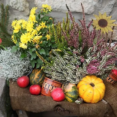 Chalupka Opal A Achat Na Luke Lukahuta Chaletstiavnica Na Samote - Samoobsluzny Pristup Cez Pin-kod Nonstop 펜션 *