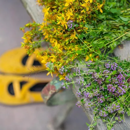 Chalupka Opal A Achat Na Luke Lukahuta Chaletstiavnica Na Samote - Samoobsluzny Pristup Cez Pin-kod Nonstop *